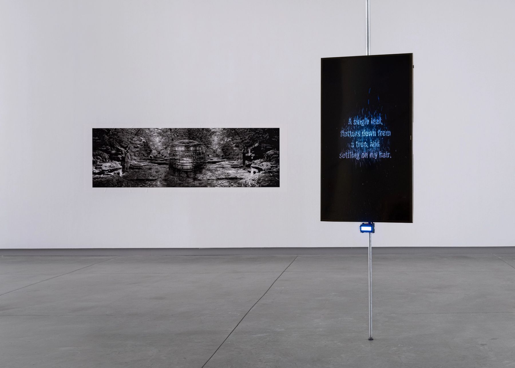 Liveable Worlds, installation view with works by Will Wilson and Oscar Santillan.