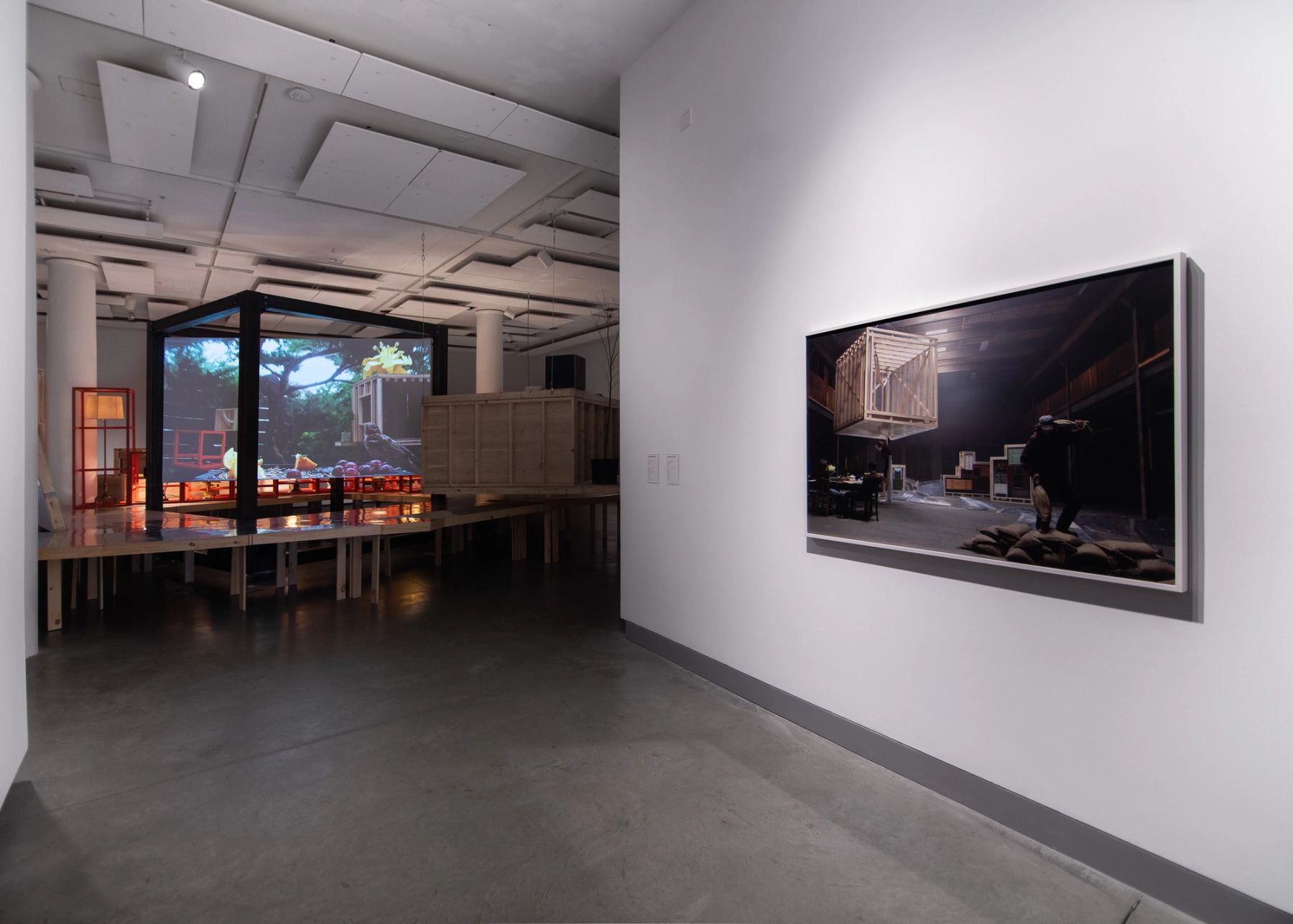 Some Things We Can Do Together: Megan and Murray McMillan installation view.