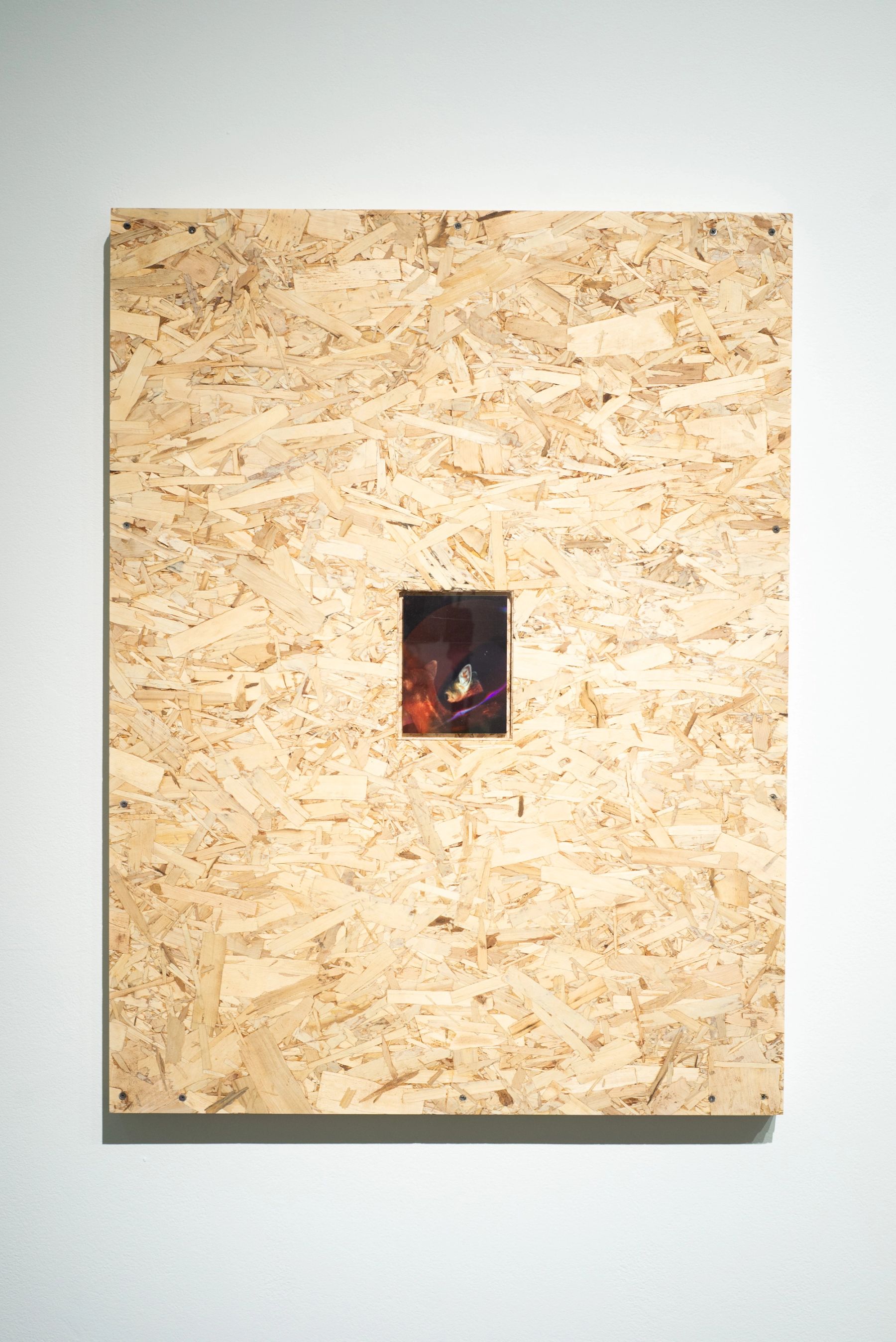 Assembly, installation view with works by Dylan Hausthor '15.
