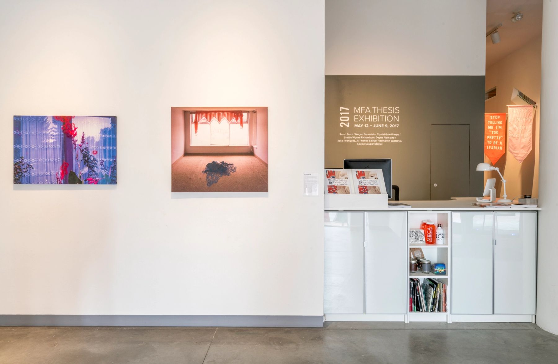 2017 MFA Thesis Exhibition installation view with work by Dayna Riemland.