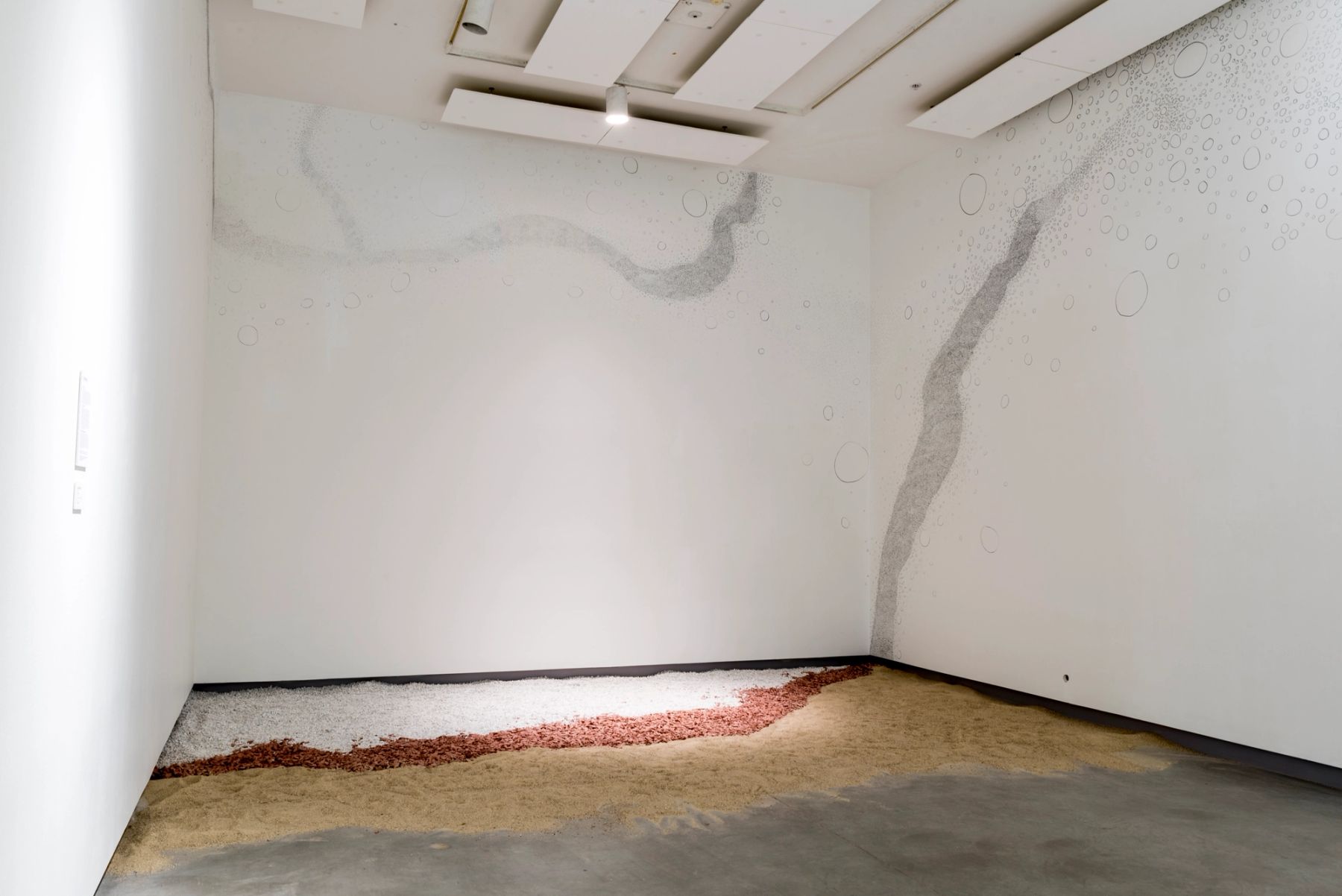 Collective Actions installation view.
