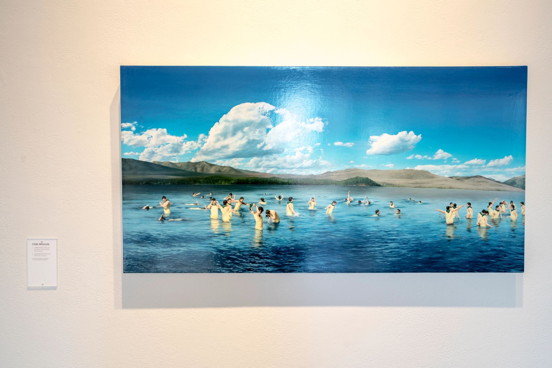In This Realm installation view.