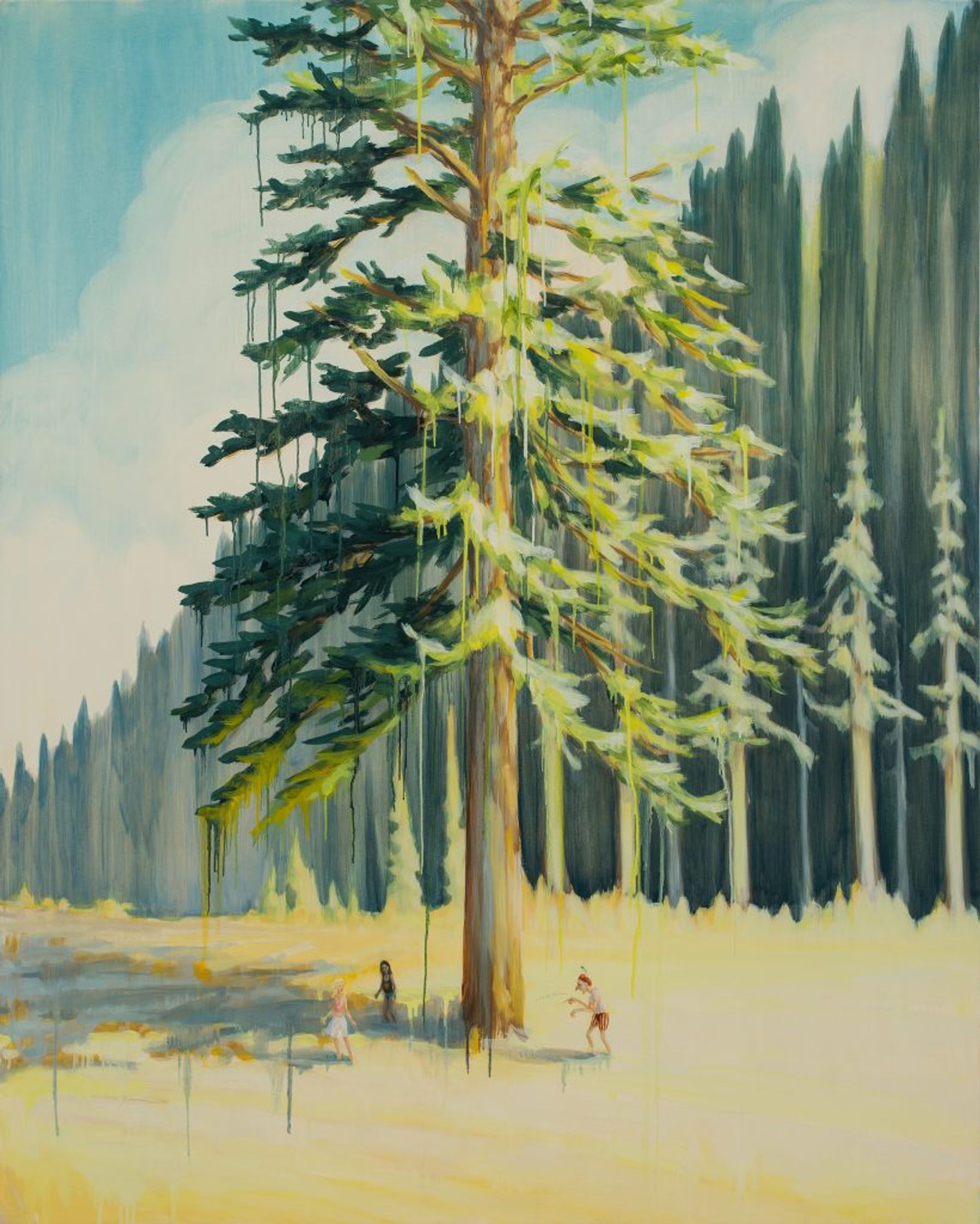 Dan Attoe, Cedar Tree with Creep, 2017.