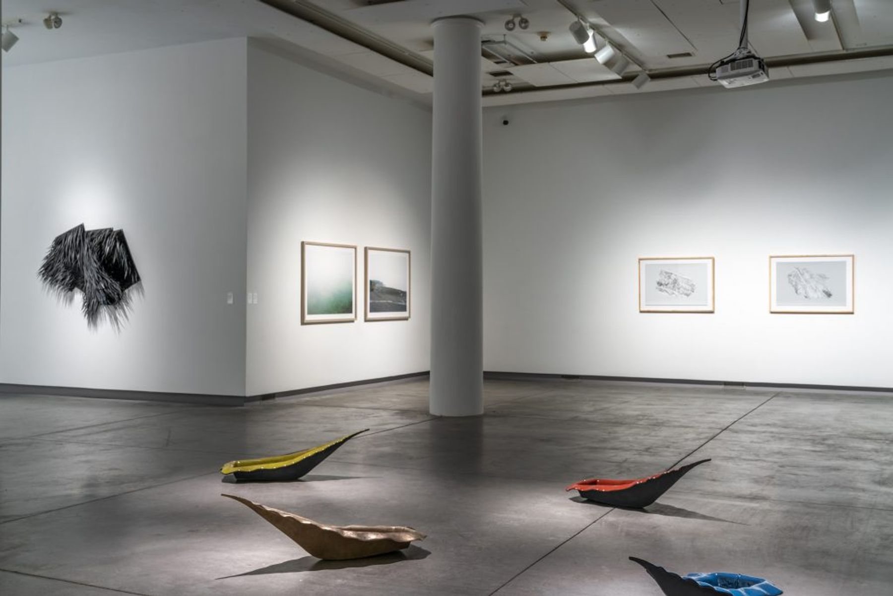 Curious Nature: 2018 Alumni Triennial installation view.