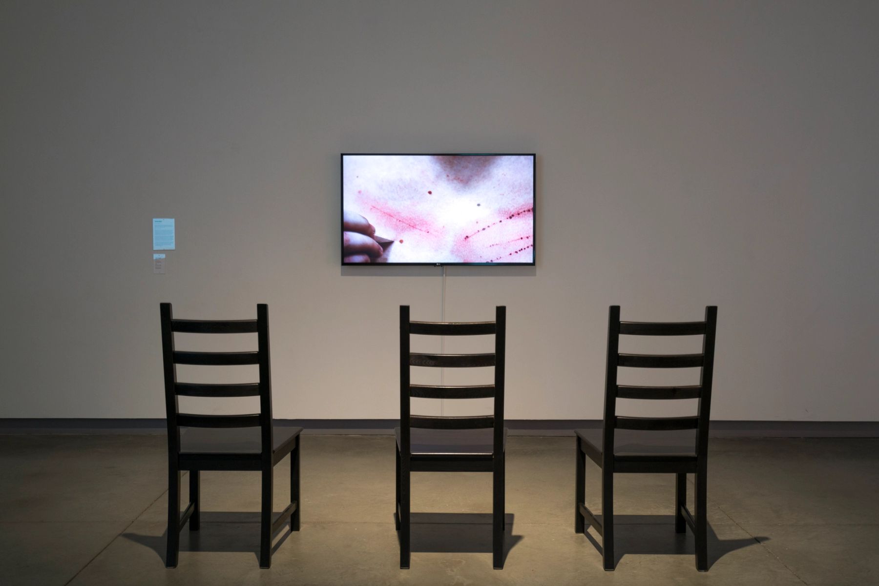2017 MFA Thesis Exhibition installation view with work by Sarah Emch.