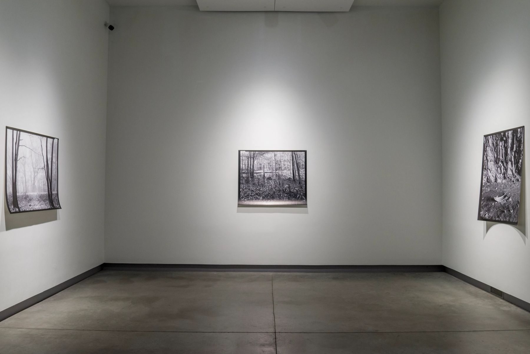 Bounty: 2016 MECA Faculty Biennial installation view.