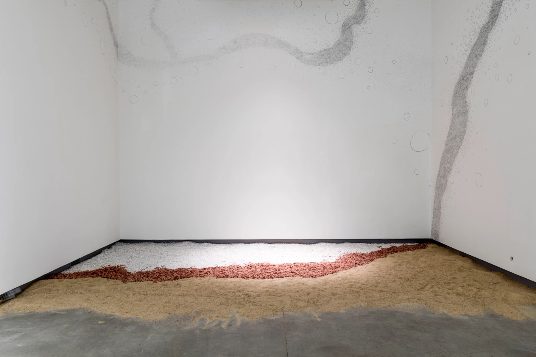 Collective Actions installation view.