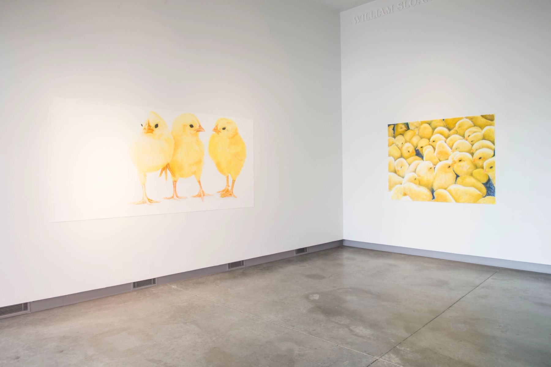 Innocent Production installation view.