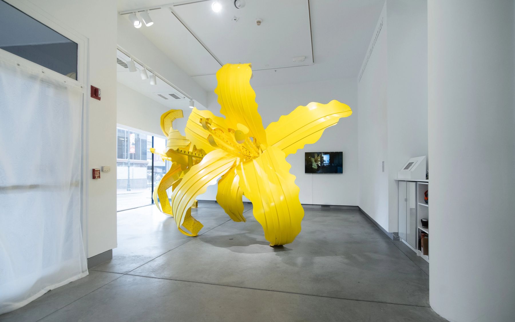 Megan and Murray McMillan, What We Loved and Forgot, 2010.