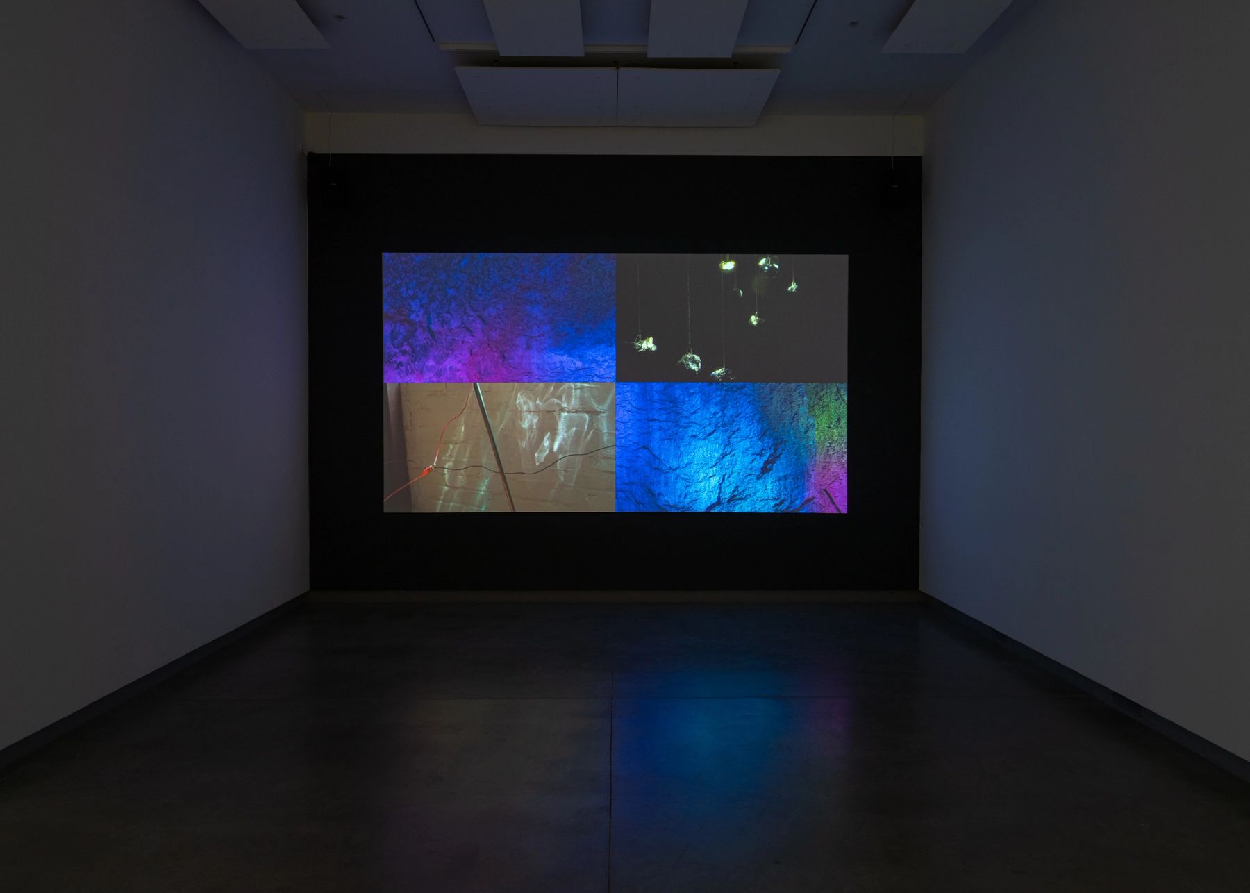 Peter Simensky, Pyrite Radio (still), 2021.