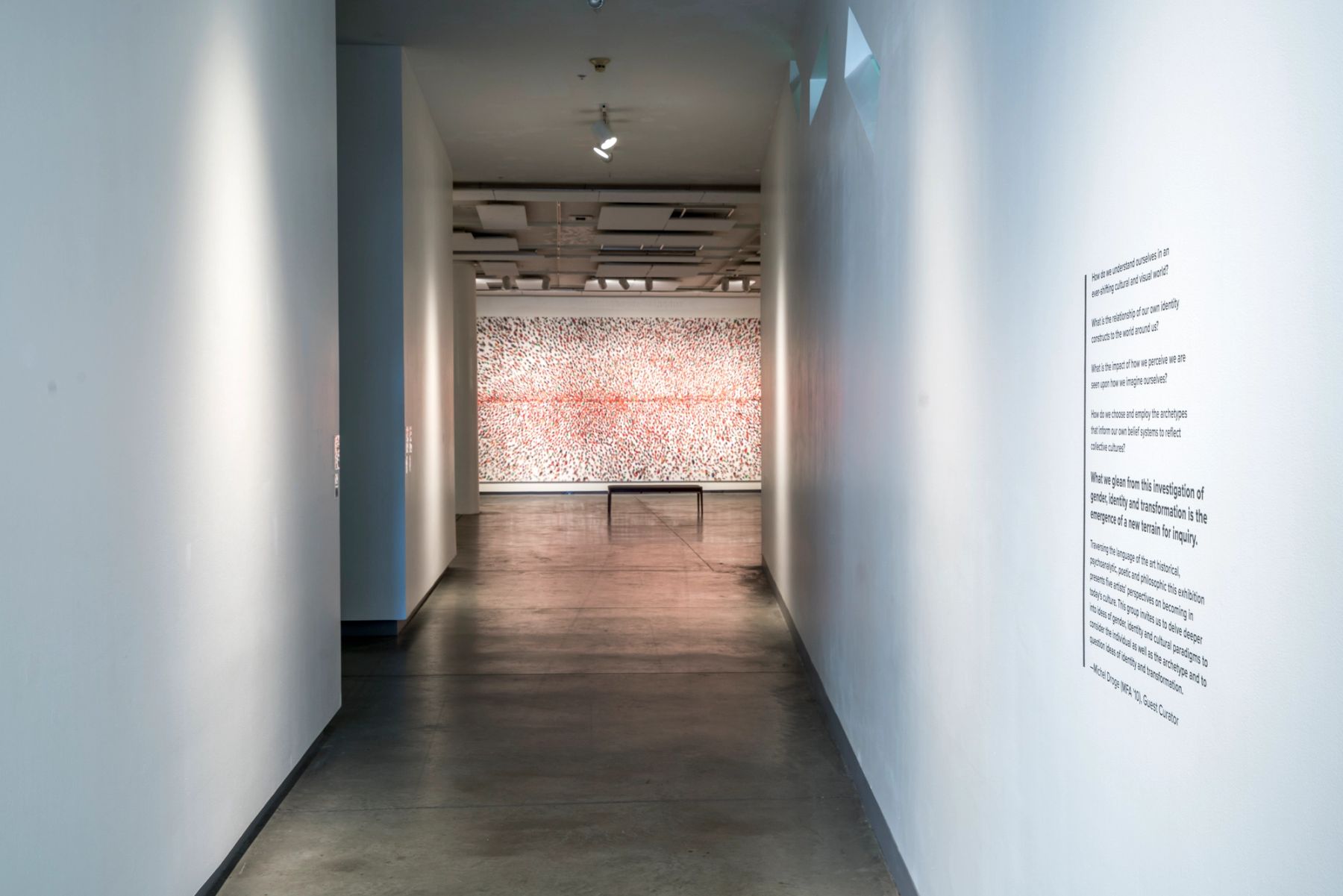 In This Realm installation view.
