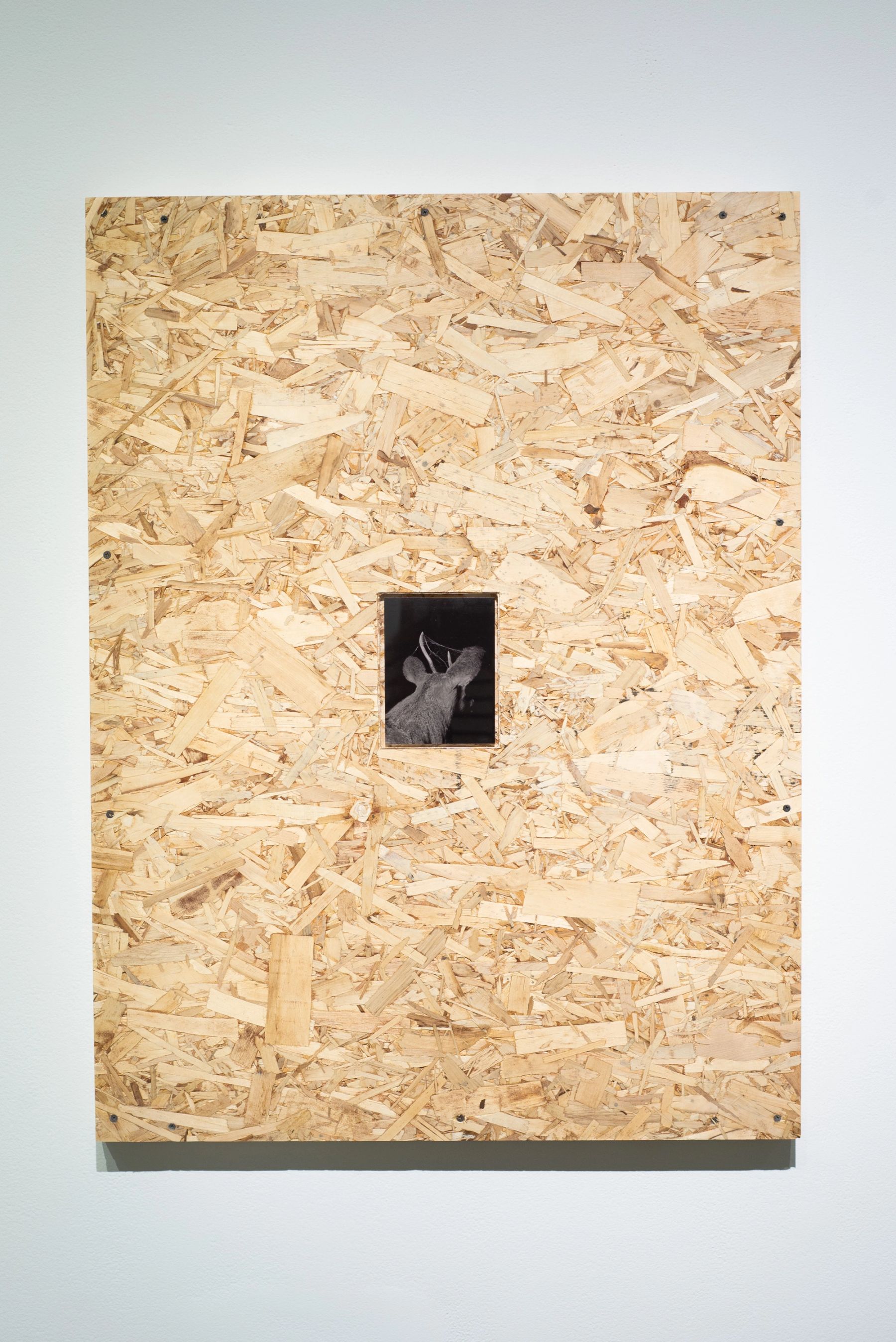 Assembly, installation view with works by Dylan Hausthor '15.