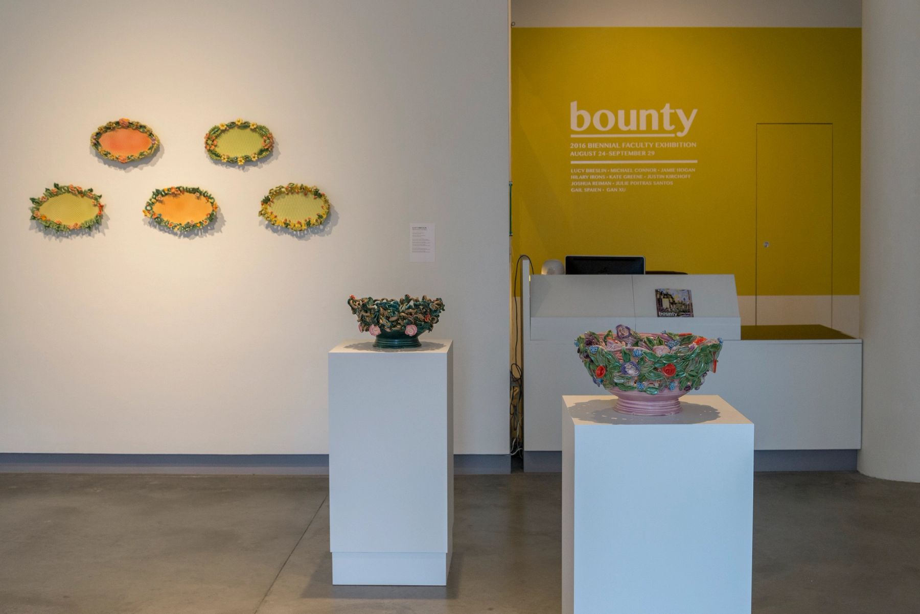 Bounty: 2016 MECA Faculty Biennial installation view.