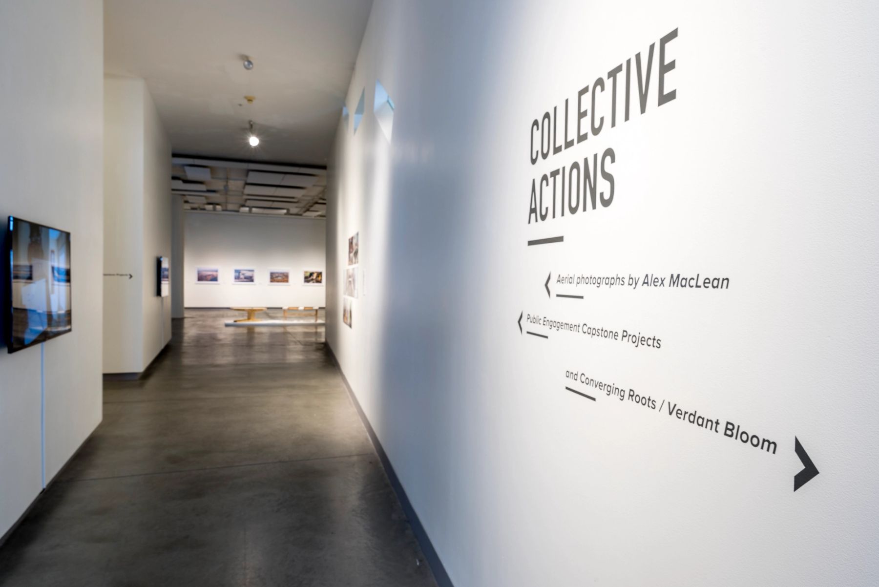 Collective Actions installation view.