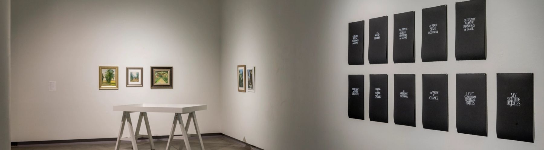 Bounty: 2016 MECA Faculty Biennial installation view.