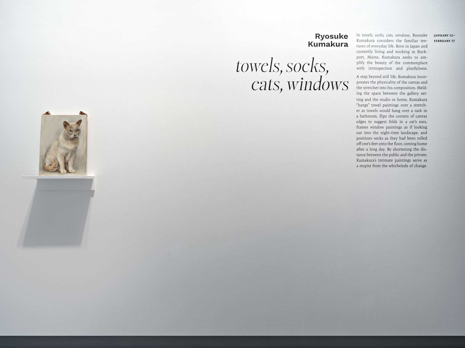 Ryosuke Kumakura: towels, socks, cats, windows, 2024, installation view.