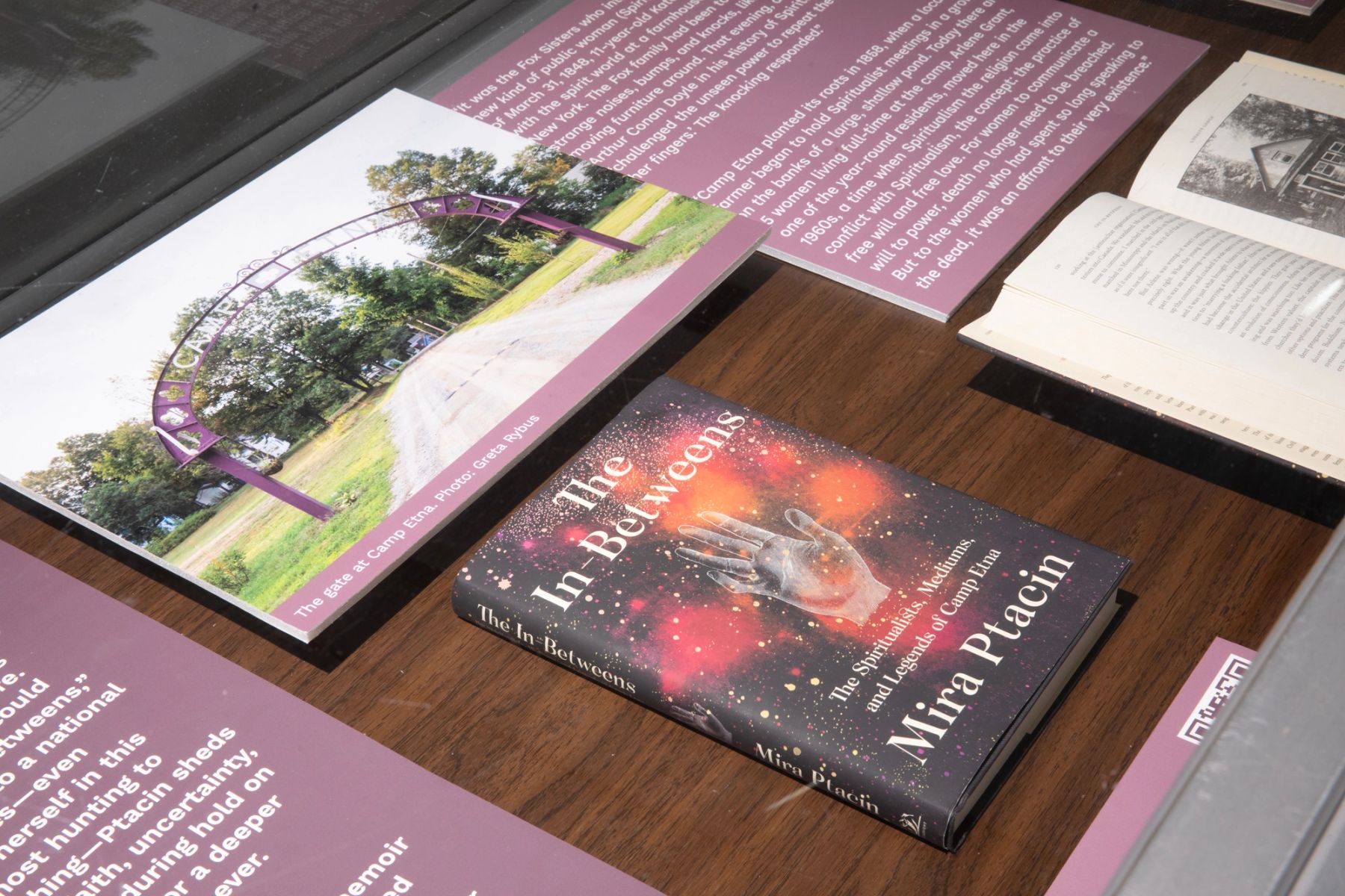 Mira Ptacin, Salt '03, The In-Betweens, 2019, installation view.