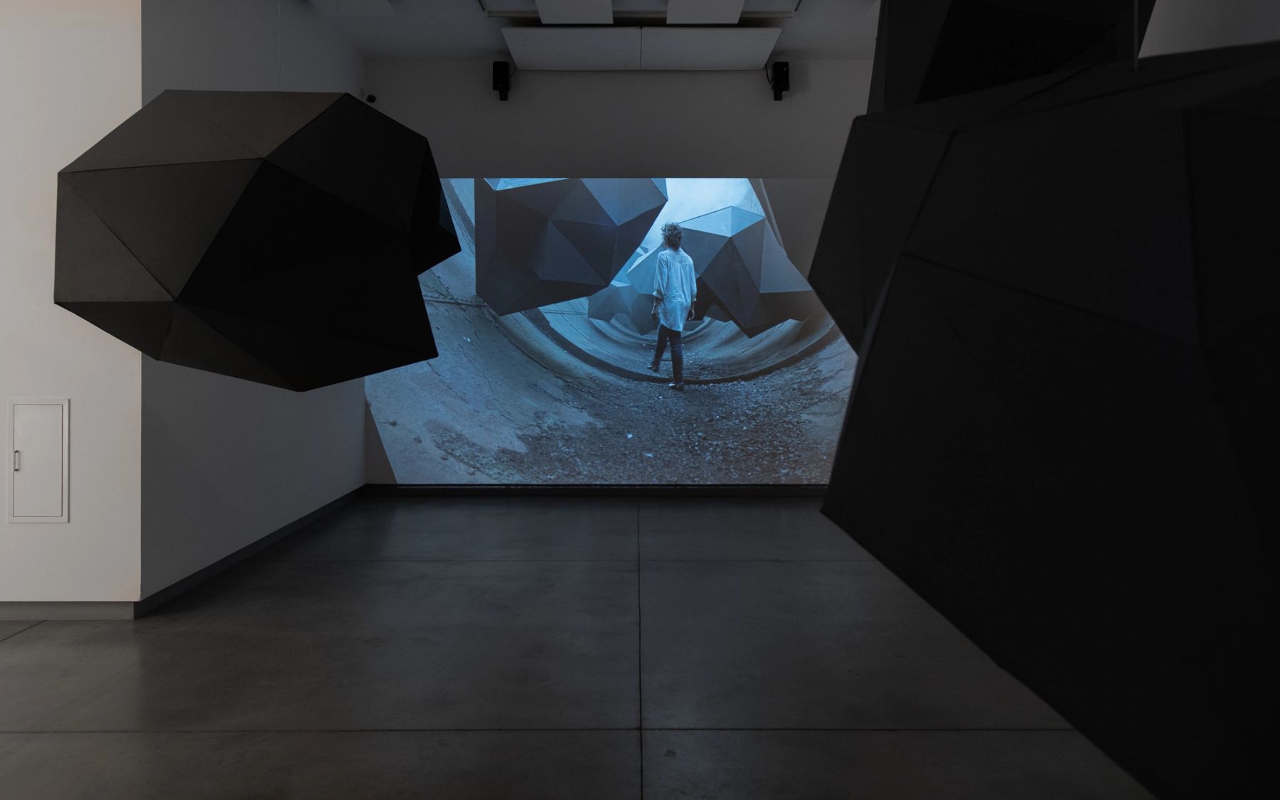 Megan and Murray McMillan, In What Distant Sky, 2013.