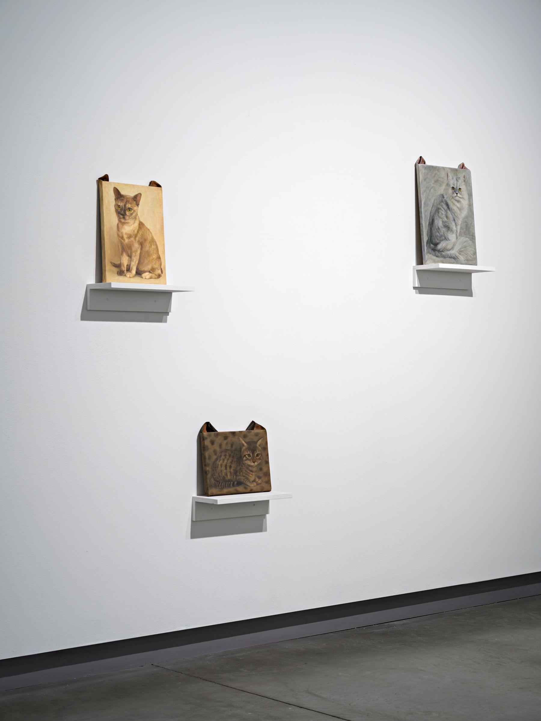 Ryosuke Kumakura: towels, socks, cats, windows, 2024, installation view.