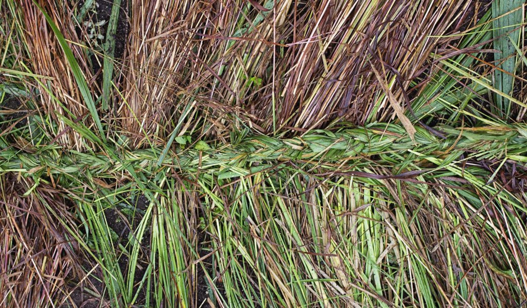 Jaclyn Jacunski, Lay of the Land (2017–18), process detail, 2017–18.