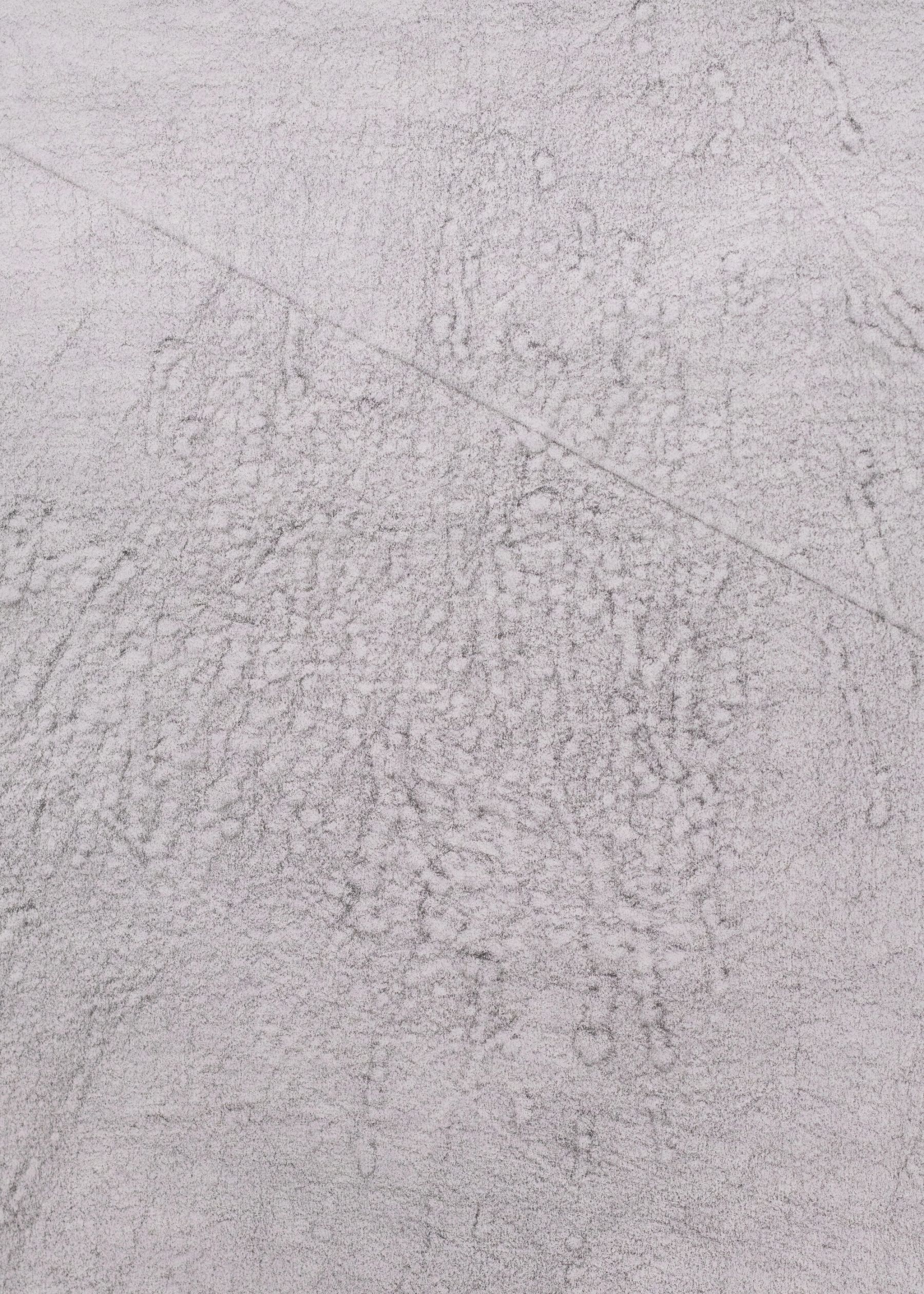Nelson Chan, Sea of Dust, (detail), 2026.