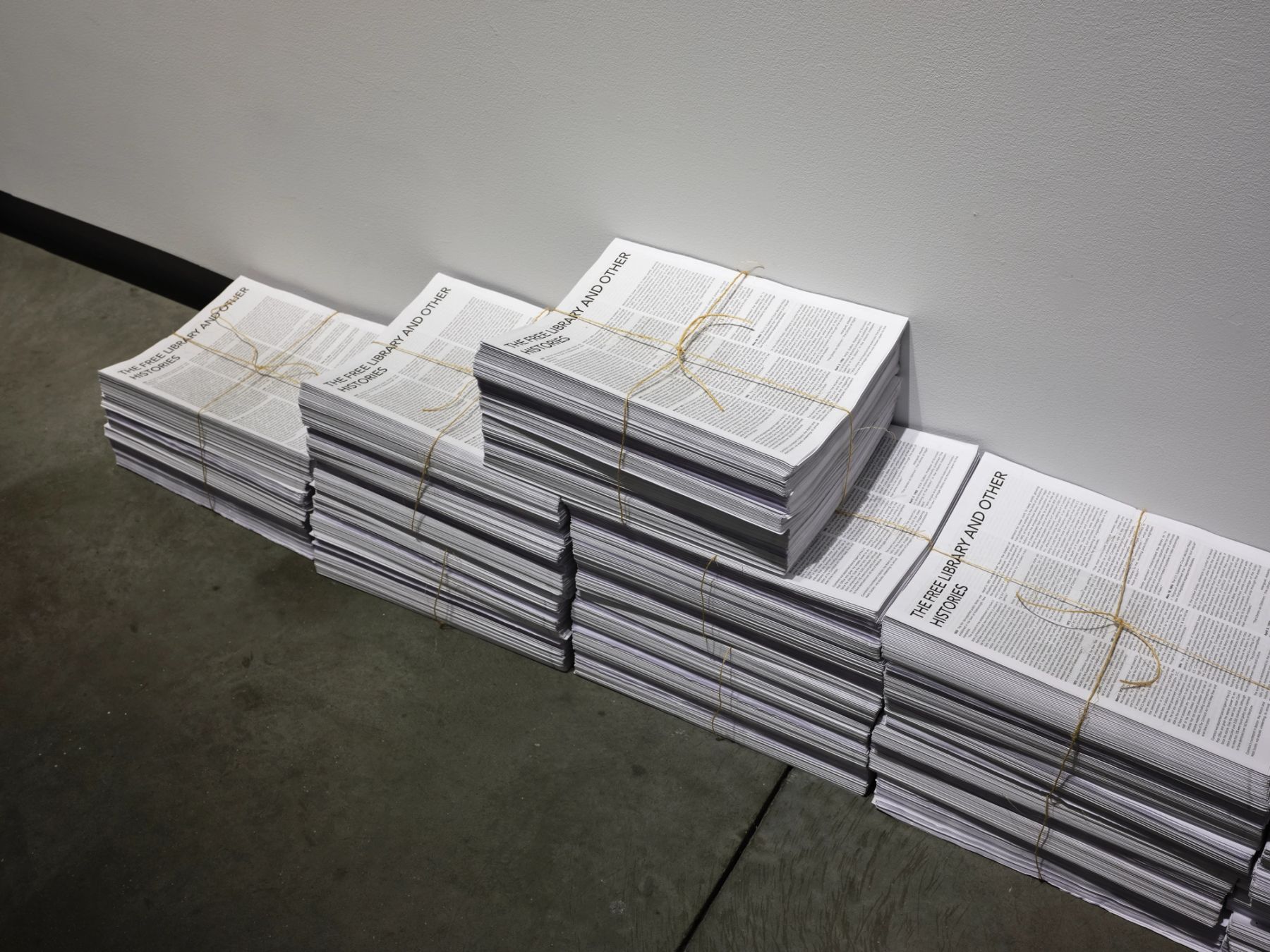 Ann Messner, the free library and other histories, 2018–2021