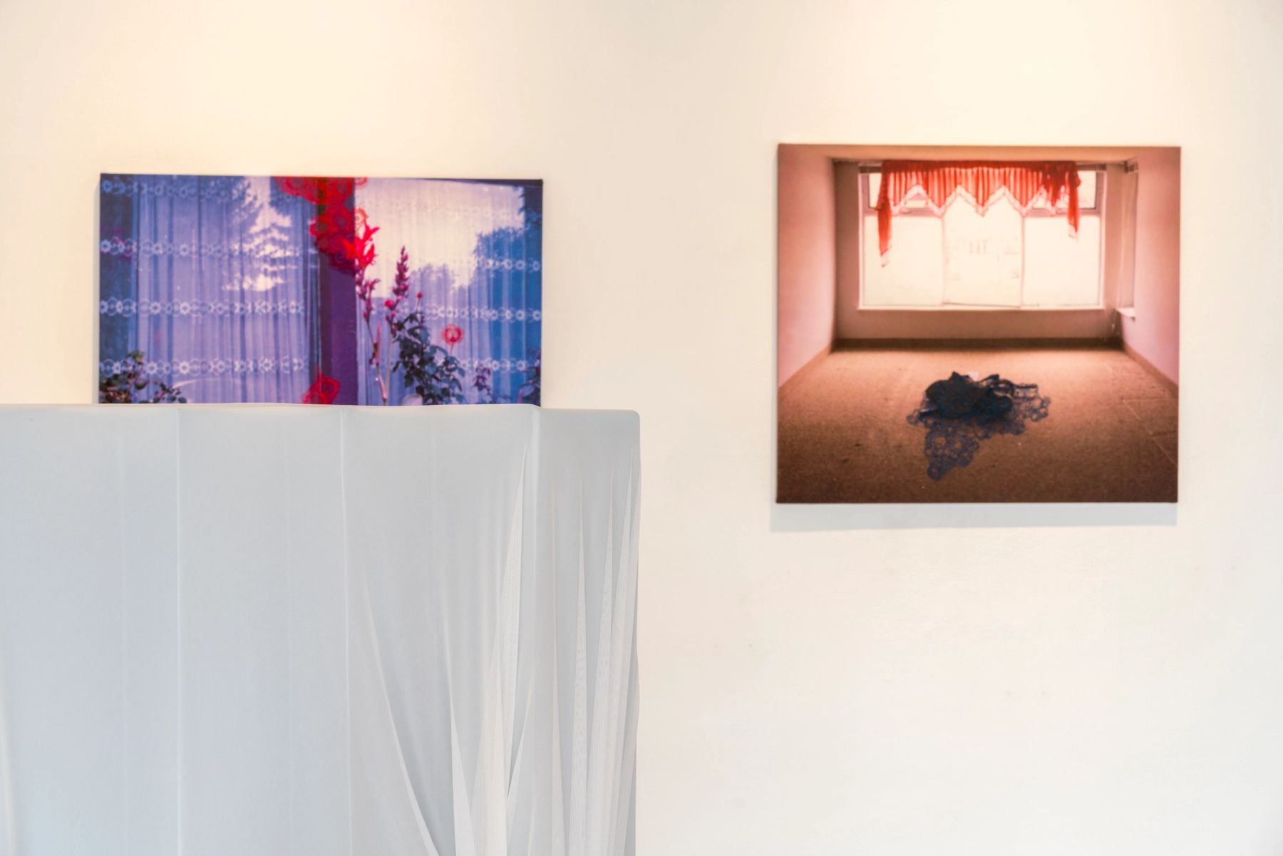 2017 MFA Thesis Exhibition installation view with work by Dayna Riemland.