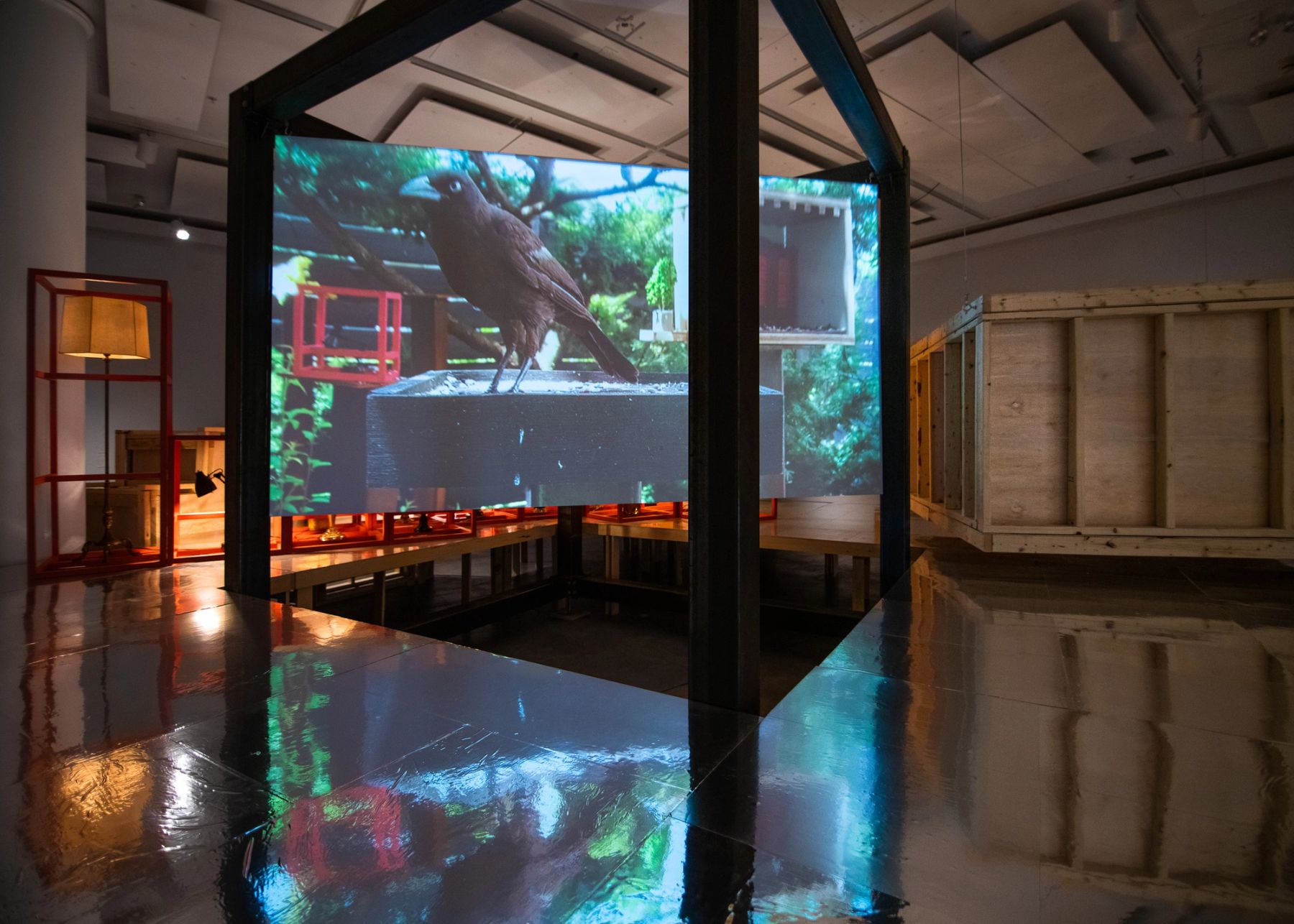 Some Things We Can Do Together: Megan and Murray McMillan installation view.