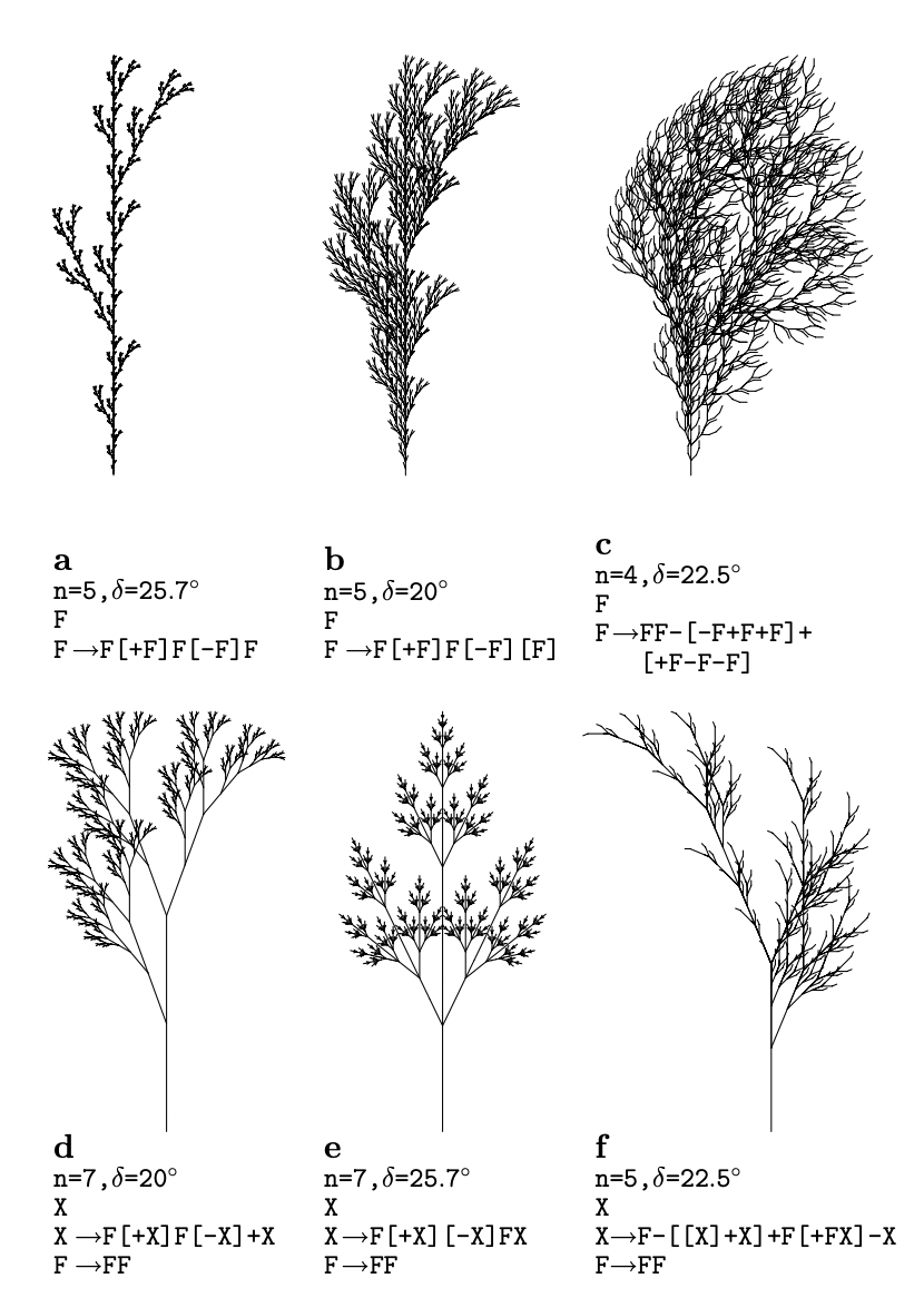 The Algorithmic Beauty of Plants