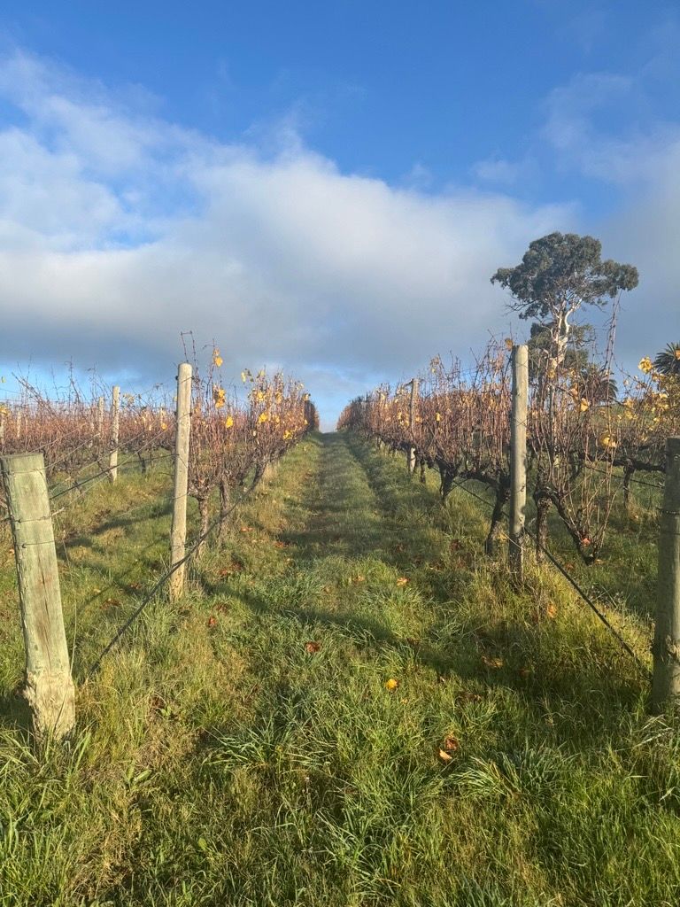 Adelaide Hills