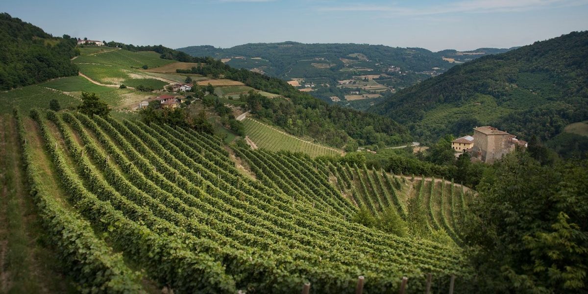 Alta Langa and Prosecco