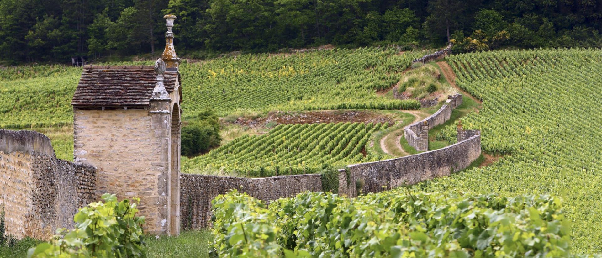 Background for Domaine Armand Rousseau Chambertin-Clos de Bèze Grand Cru 2018