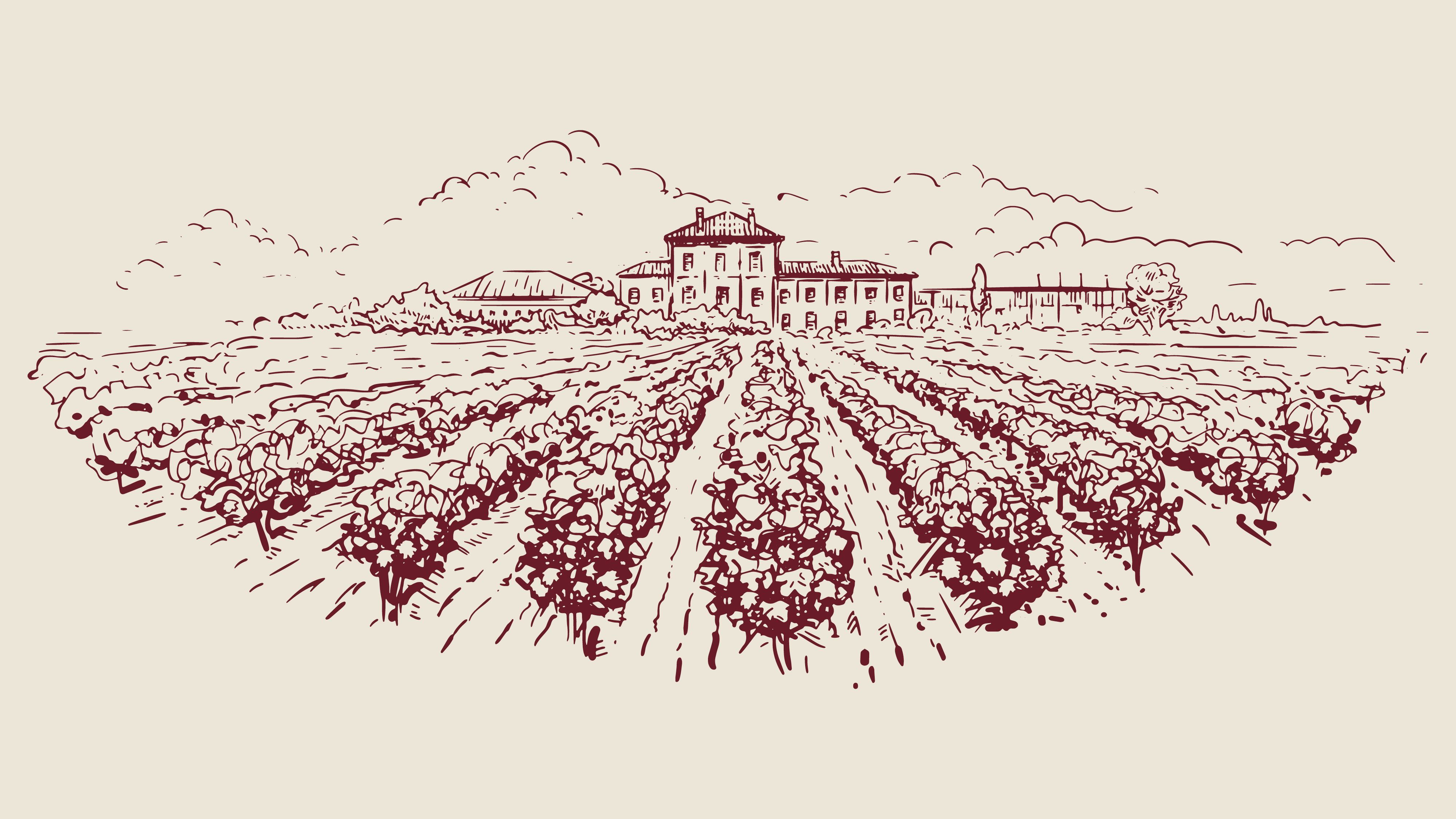 Illustration of a vineyard for World Champagne Day. Tour de Champagne