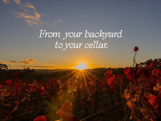 Australian Wine Special