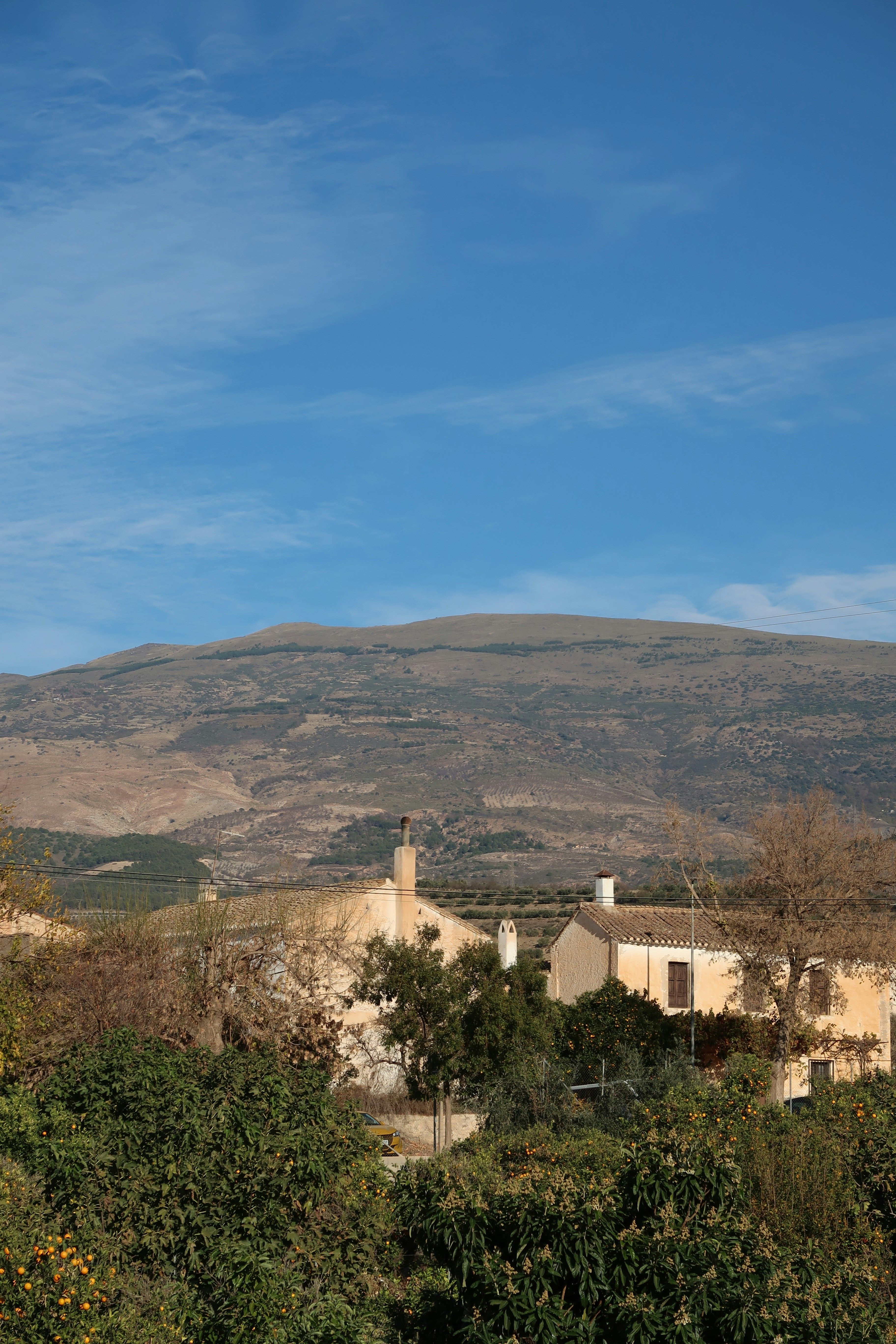 Background for Domaine Pinson Chablis 2023