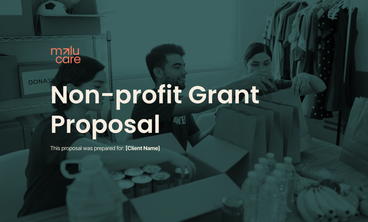 a non-profit grant proposal that was prepared for a client name