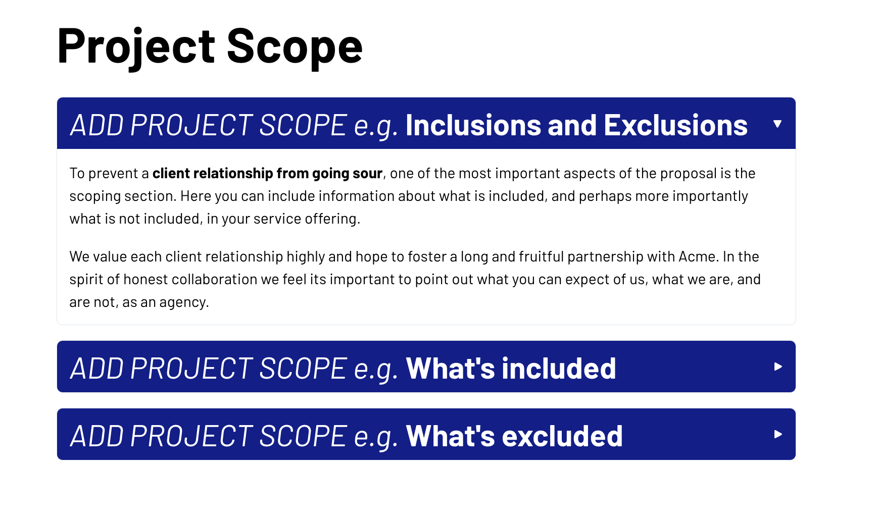 a project scope page that says add project scope e.g. inclusions and exclusions