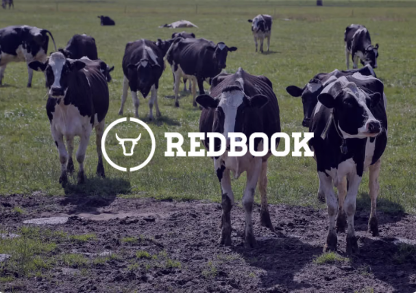 Black and white cows in a muddy field with the REDBOOK logo.