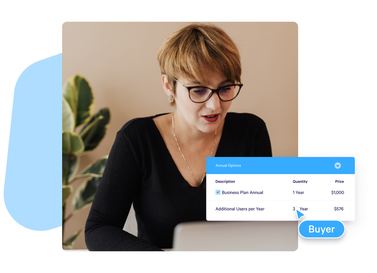 Present buyers with interactive pricing