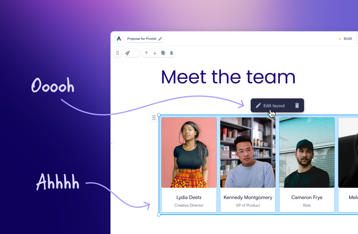 a computer screen that says meet the team on it