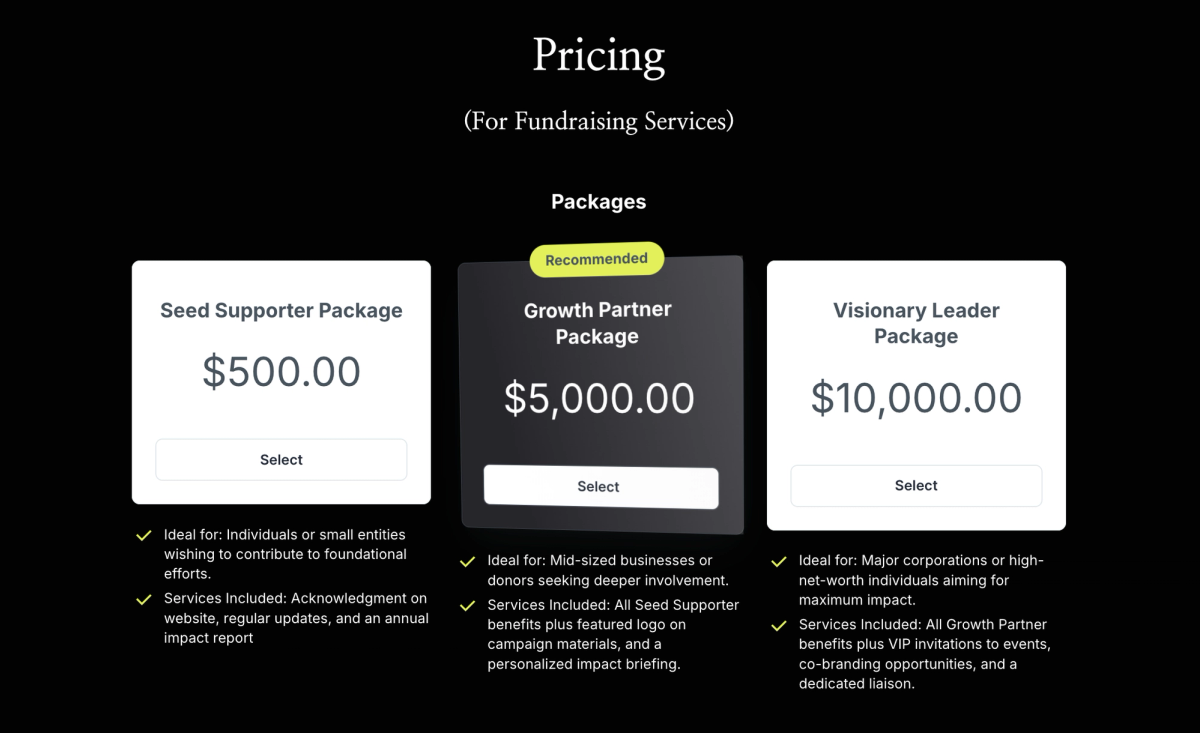 a pricing page for fundraising services shows three different packages