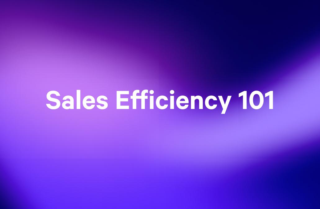the words sales efficiency 101 are on a purple background .