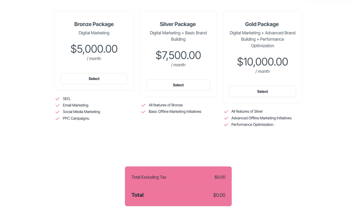 a screenshot of a pricing page for a digital marketing package
