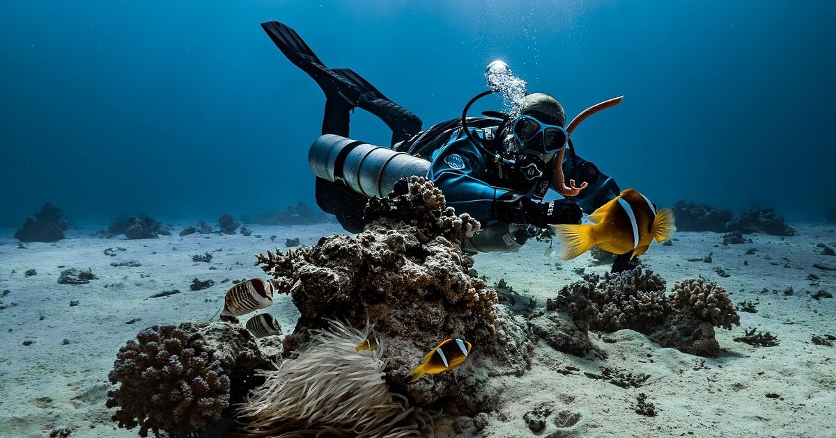 Una persona practicando snorkel en aguas cristalinas frente a la costa de Alicante, rodeada de peces y fondos rocosos típicos del Mediterráneo.