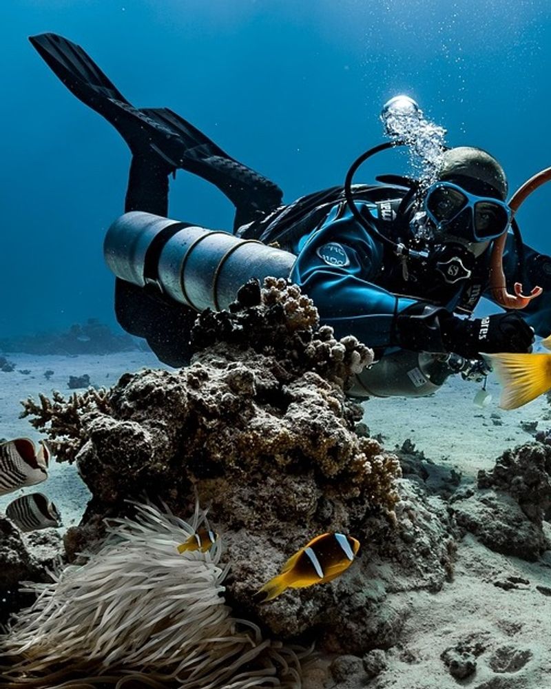 Una persona practicando snorkel en aguas cristalinas frente a la costa de Alicante, rodeada de peces y fondos rocosos típicos del Mediterráneo.