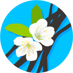 Vanilla extract