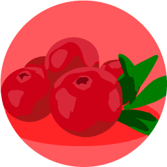 Cranberry (juice)