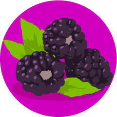 Moras
