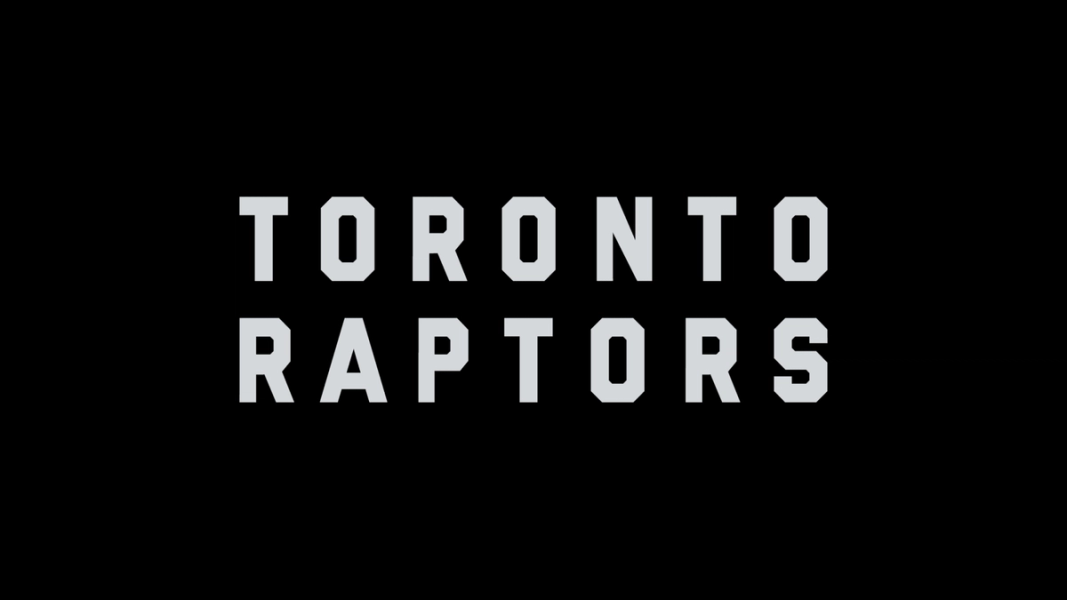 Toronto Raptors - image 1