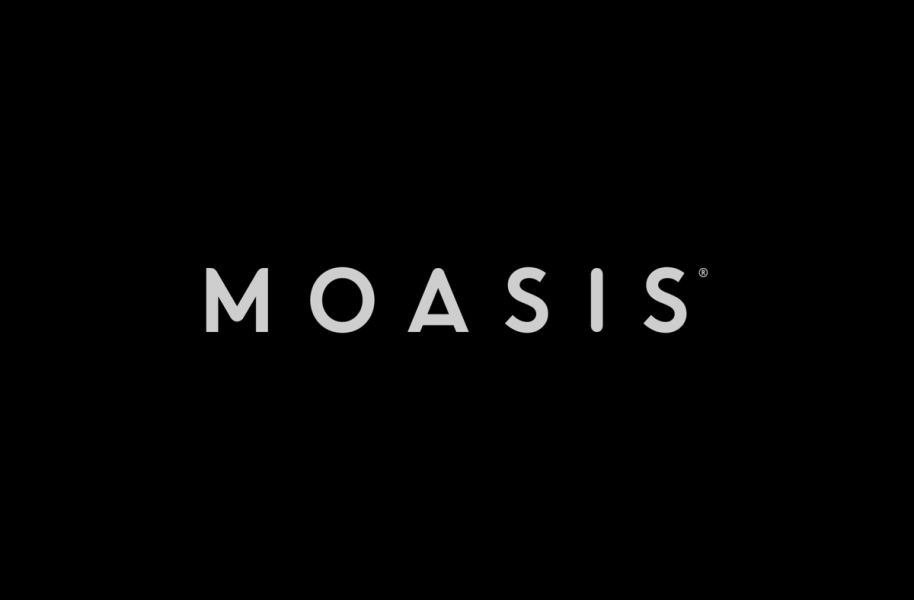 Moasis - image 1